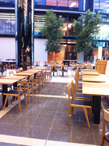20130801-Tomoe Chairs - Natural 1_1.jpg 20130801-Tomoe Chairs - Natural 1_1.jpg